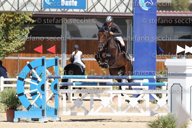 D ANTONI_D ACORADO_ECC_2011_SS3_5136.jpg